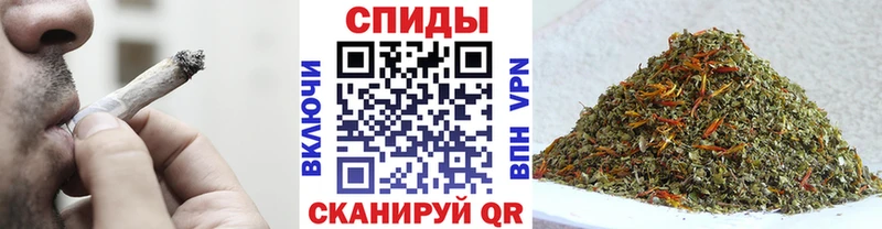 мориарти какой сайт  Химки  Бутират BDO 